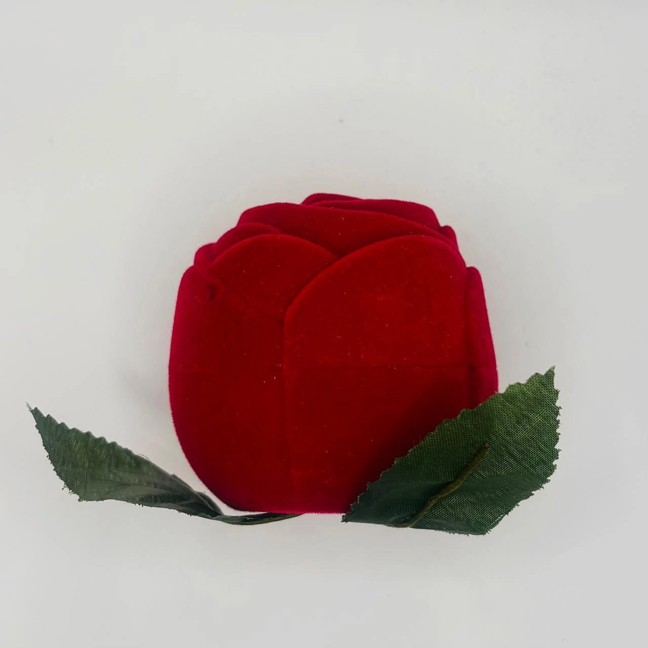 CVR (4)