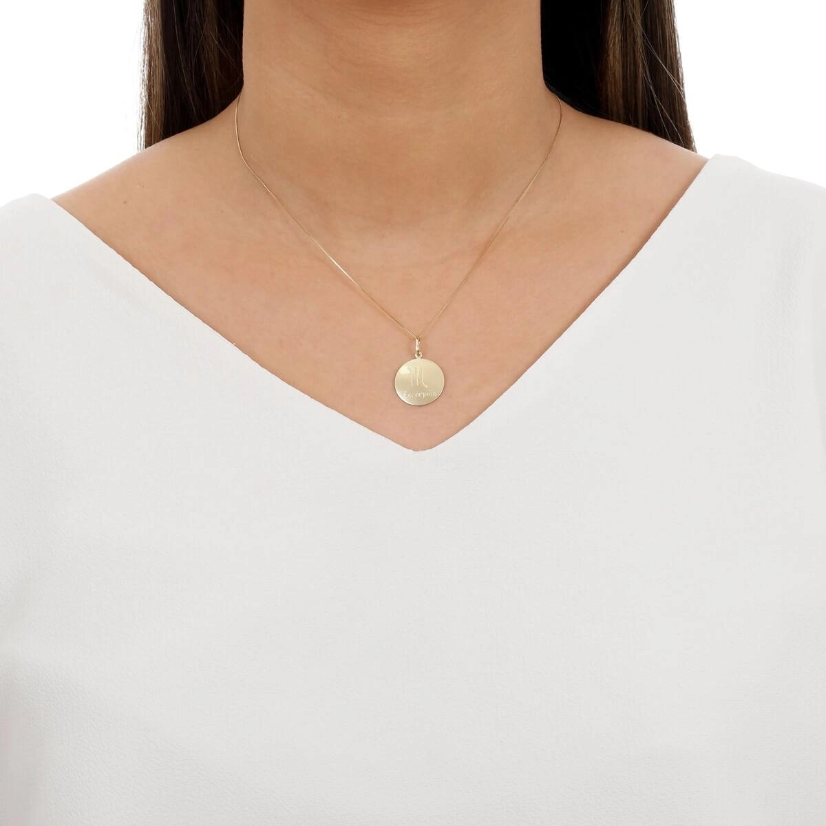 SM (93)